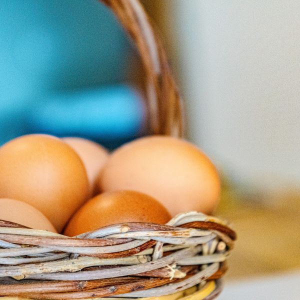 colazione con uova fresche del B&B Bed and Breakfast Shanti Home Restaurant a due passi dal mare a Vieste immerso nella natura nel Gargano in Puglia