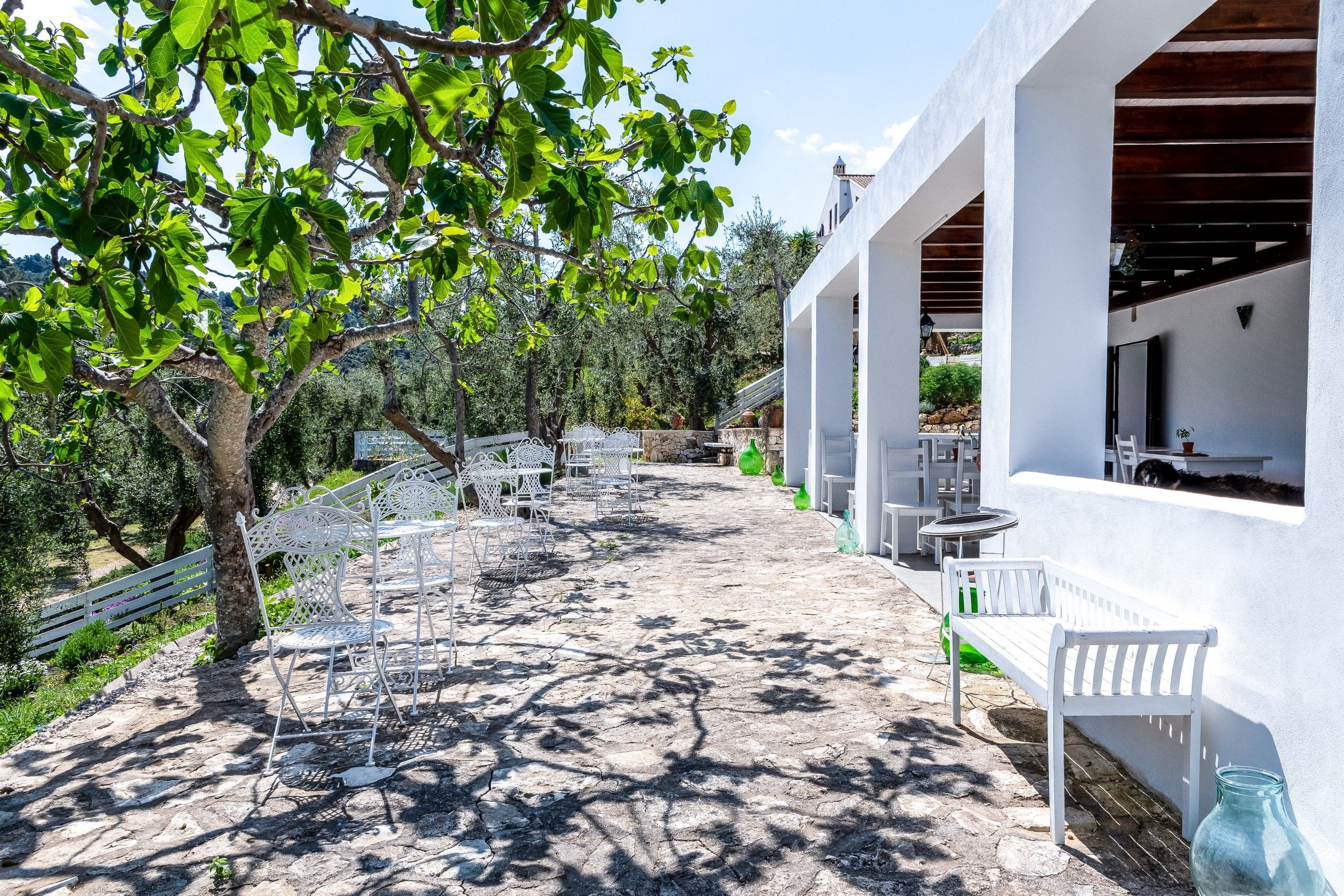 esterno porticato del B&B Bed and Breakfast Shanti Home Restaurant a due passi dal mare a Vieste immerso nella natura nel Gargano in Puglia