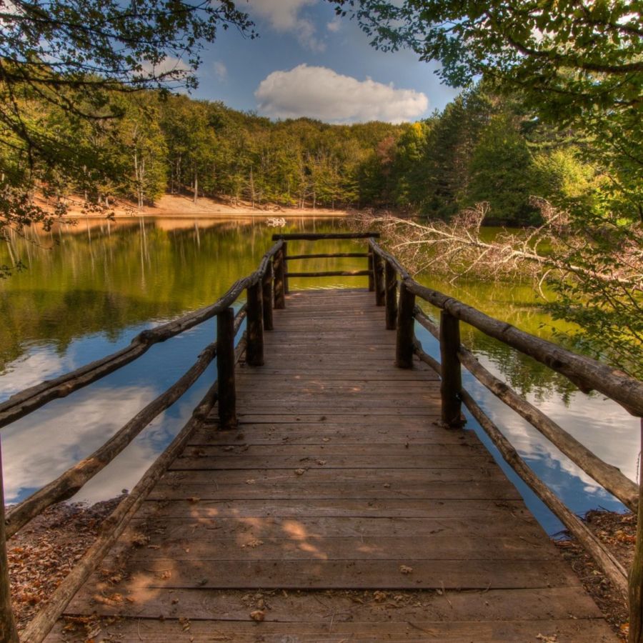 escursione in Foresta Umbra proposta dal B&B Bed and Breakfast Shanti Home Restaurant a due passi dal mare a Vieste immerso nella natura nel Gargano in Puglia