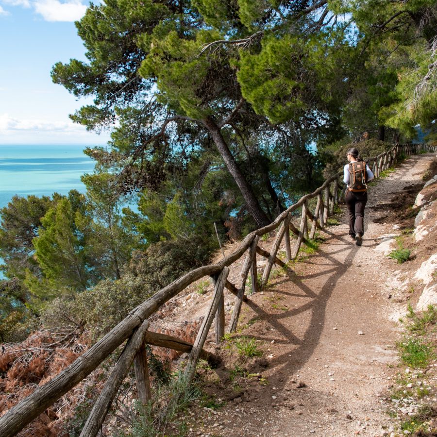 escursione nella costa garganica proposta dal B&B Bed and Breakfast Shanti Home Restaurant a due passi dal mare a Vieste immerso nella natura nel Gargano in Puglia