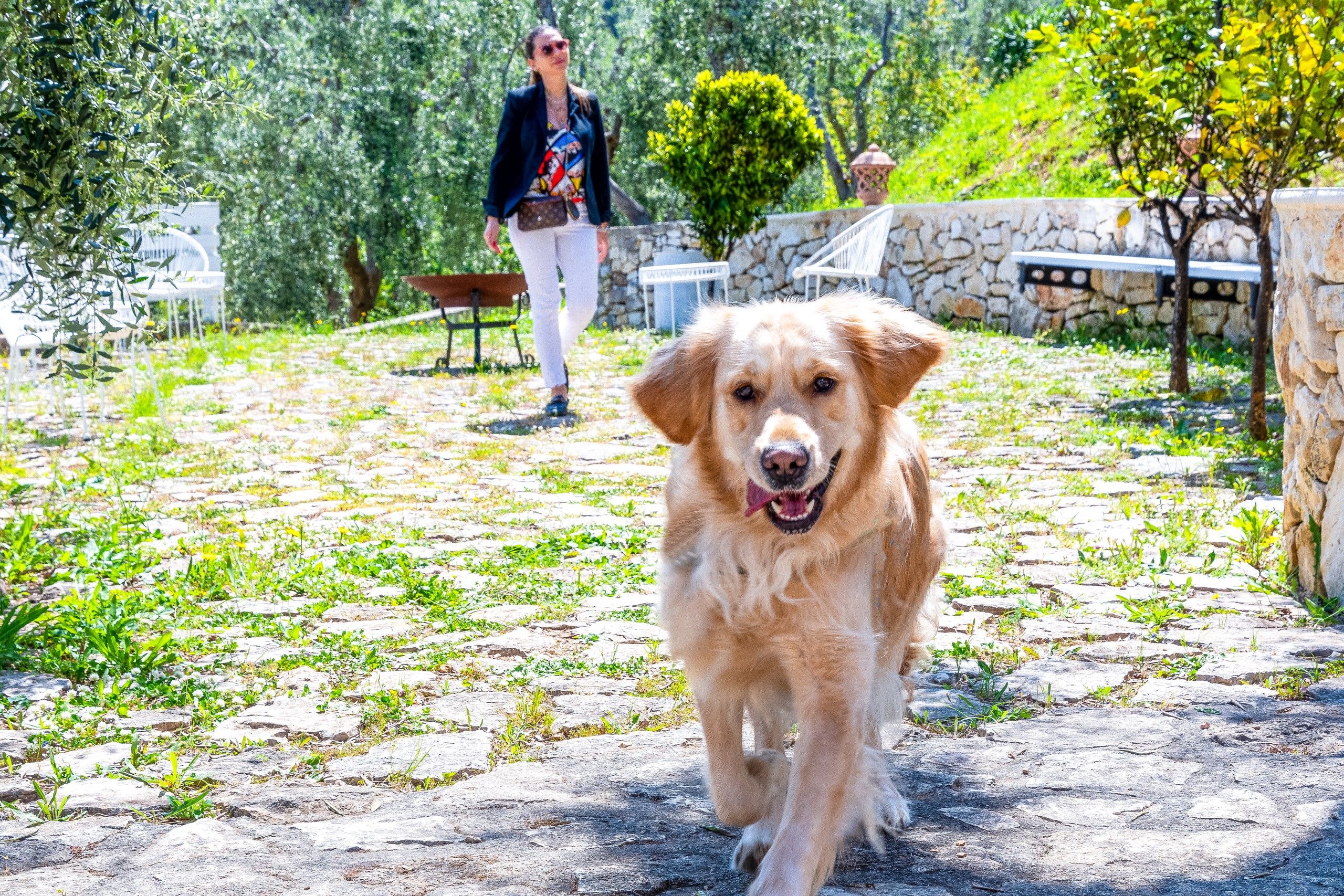 ragazza passeggia con il cane nel B&B Bed and Breakfast Shanti Home Restaurant a due passi dal mare a Vieste immerso nella natura nel Gargano in Puglia