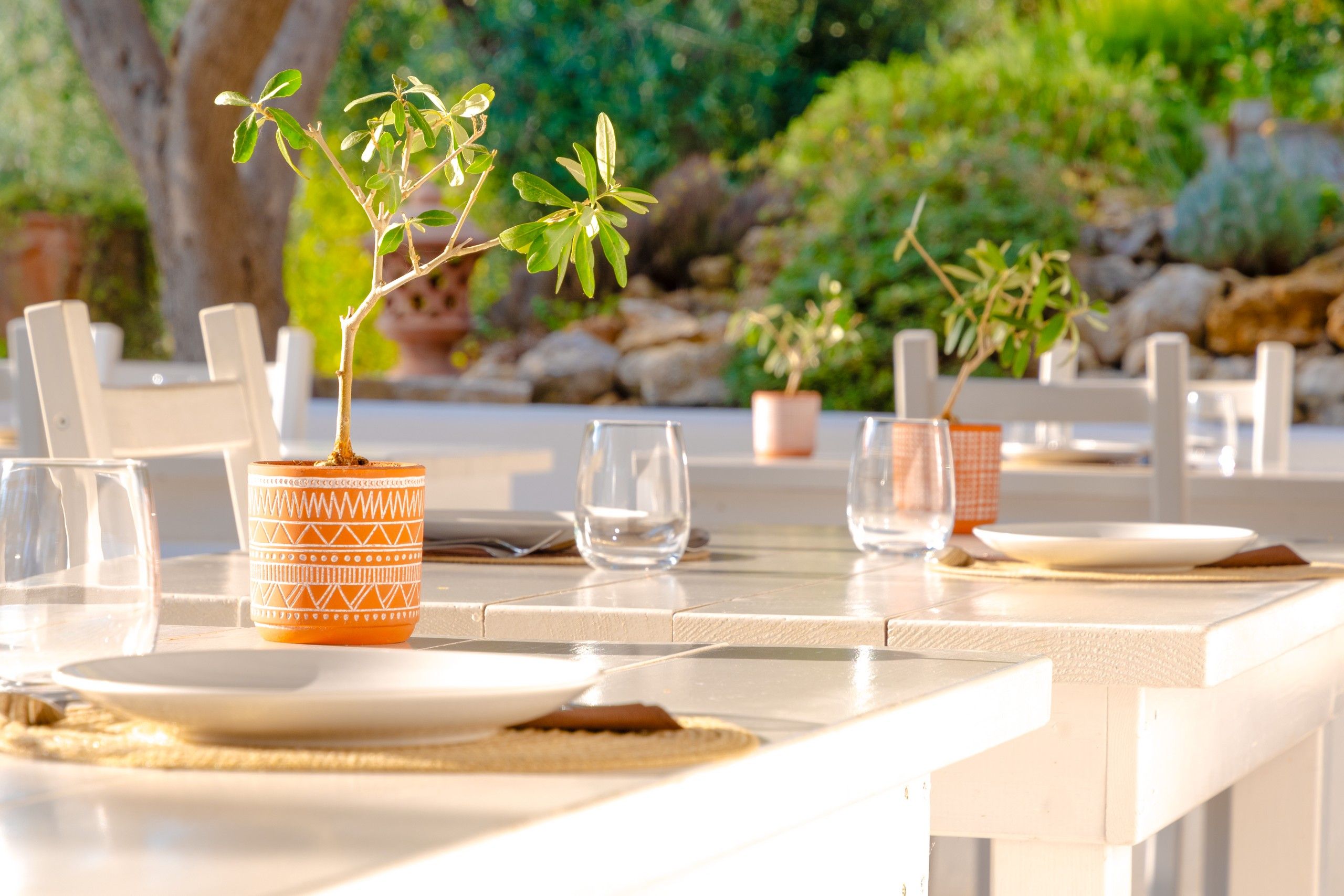 tavoli esterni apparecchiati del B&B Bed and Breakfast Shanti Home Restaurant a due passi dal mare a Vieste immerso nella natura nel Gargano in Puglia