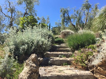 garden with rocks Bed and Breakfast Shanti Vieste Apulian Gargano