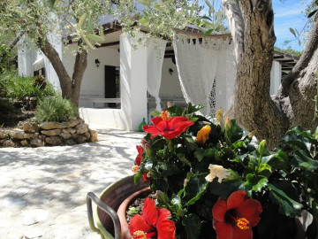 Room of the B&B Shanti Vieste Apulia in Gargano