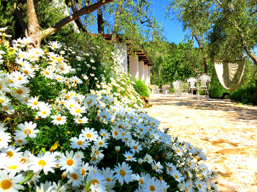 Homemade breakfasts with typical Apulian products B&B Shanti