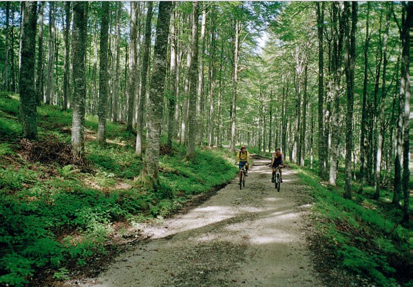 escursioni bike foresta Umbra parco del Gargano Vieste puglia
