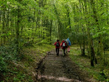 Mountain bike excursions Umbra Gargano Vieste park Apulian