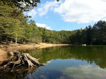 escursioni foresta umbra laghetto trekking Vieste Puglia Gargano