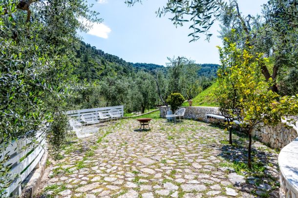 giardini curati e ulivi del B&B Bed and Breakfast Shanti Home Restaurant a due passi dal mare a Vieste immerso nella natura nel Gargano in Puglia