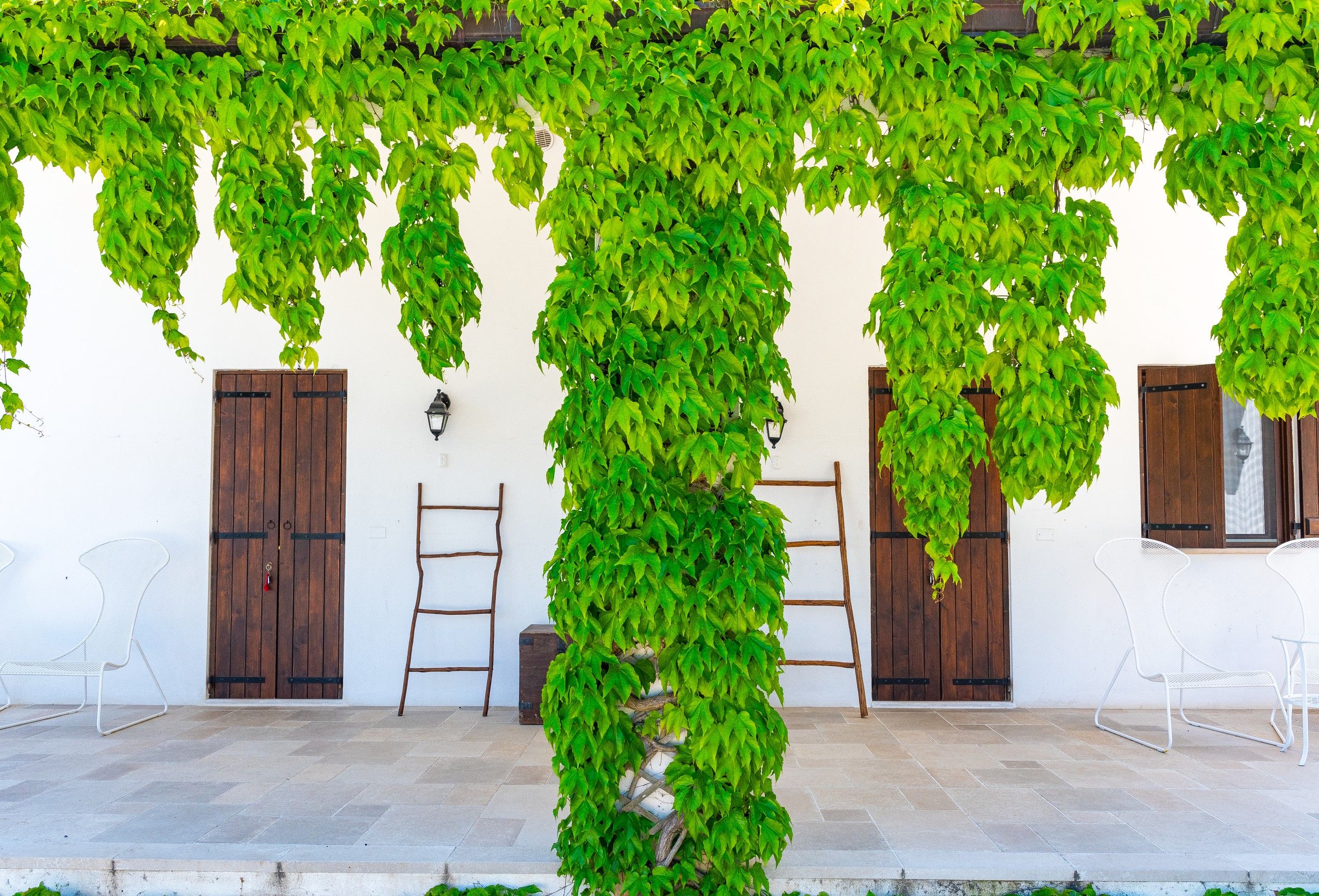 porticato esterno camere del B&B Bed and Breakfast Shanti Home Restaurant a due passi dal mare a Vieste immerso nella natura nel Gargano in Puglia