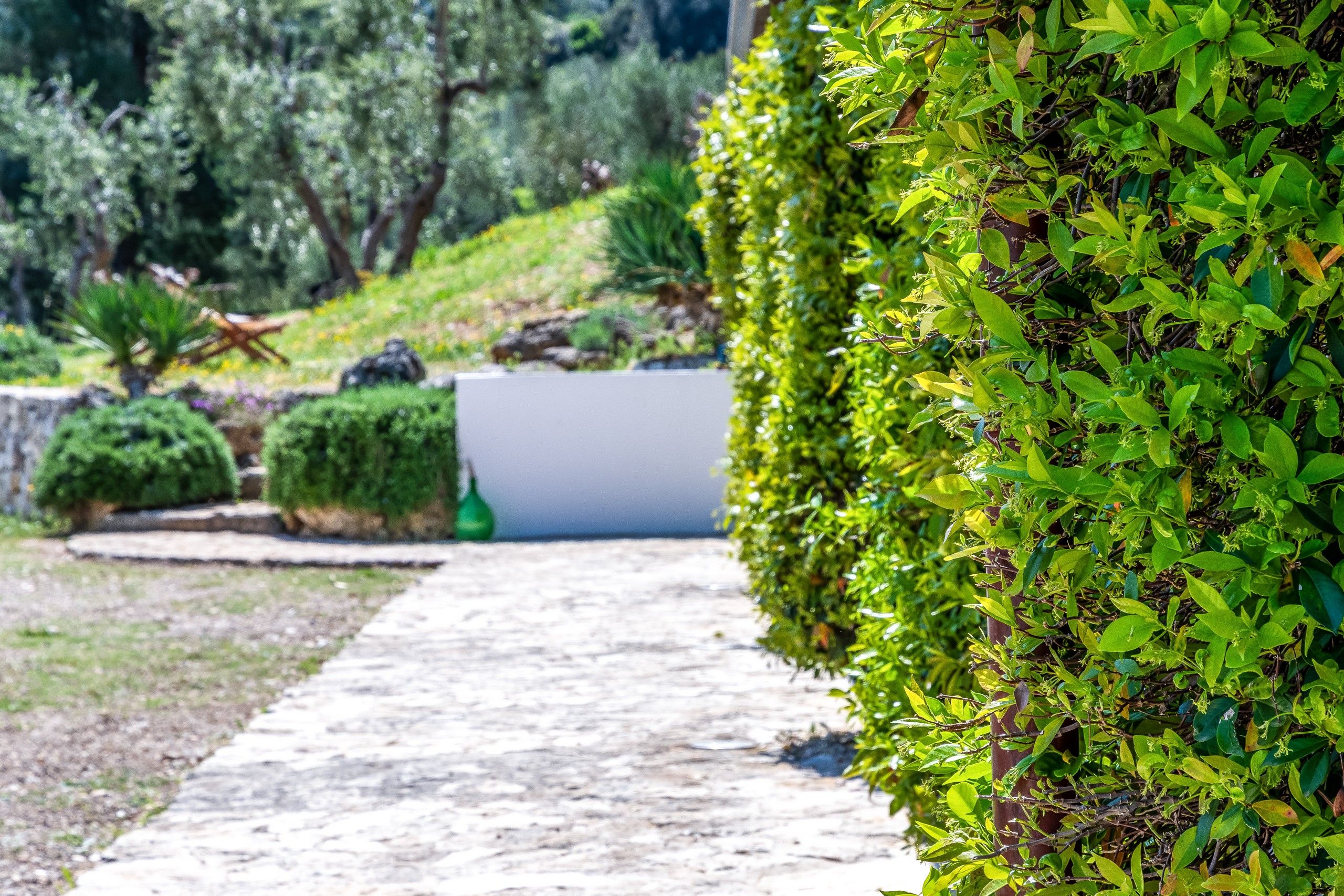 siepe esterno camere del B&B Bed and Breakfast Shanti Home Restaurant a due passi dal mare a Vieste immerso nella natura nel Gargano in Puglia